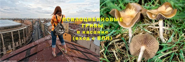 альфа пвп Инсар
