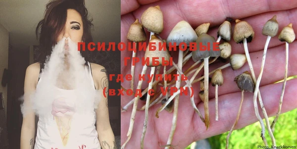 прущая мука Каменка