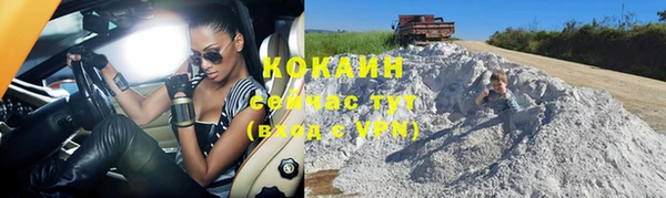 прущая мука Каменка